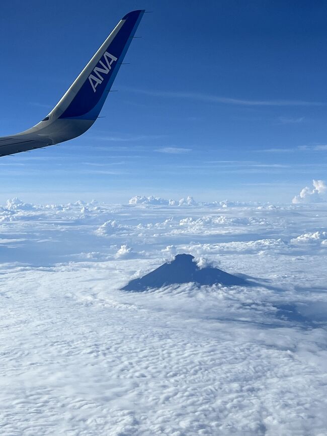 ひとり旅なのに、すっかりアップするの忘れてました。ビルボード大阪に行きライブを楽しみ、お箸で食べるフレンチを堪能してきました。<br /><br />iPhoneデータ容量の関係で少し前に写真を削除してしまい内容薄いですがご容赦下さい。備忘録です。