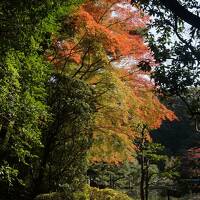 ２０２２年の秋の散策、近代日本を代表する作庭家７代目小川治兵衛が京都三条に残した傑作庭園を巡る