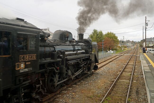 午後2時過ぎにJR花巻駅に到着しました。ここからJR釜石線に乗って遠野駅まで移動します。花巻駅では少し自由行動になりましたが、閑散とした駅前に行くところもありません。駅構内にあった観光案内所で花巻周辺のパンフレットをいただき、スタンプを押して絵葉書を1枚書いていると集合時間になります。妻はこの日の夜に飲む缶チューハイを買い求めてくれていました。遠野の町にはコンビニも無いと聞いていたのでそのためのものです。ホームに入ってきた列車は1両編成でした。反対側のホームの東北本線の列車も2両編成でしたから仕方ないですね。我々のツアーだけでも24名いるので、早々に車内に乗り込んだので席は確保できました。ここから約1時間の列車旅です。本州でディーゼル車に乗るのは久しぶりのような気がします。各駅停車で1つ1つ遠野に向かっていくと、懐かしいような農村の風景に出会えます。稲刈りはすでに終わり、マンサード屋根の農家をいくつも通り過ぎていきます。いくつかの駅を通り過ぎたところで車窓にカメラを構えた人の姿に気が付きました。この日は日曜日だったのでSL銀河が運行しているのだと思いました。果たして土沢駅で停車している機関車と出会えました。機関車の前からの写真は撮れませんでしたが、最後尾の窓から銀河鉄道の様な編成車両を撮ることが出来ました。55年前に父と旅した三陸の旅で初めて機関車に乗り、新潟の笹川流れの海岸で羽越本線を走る機関車のラストランを見た時のことを思い出します。平泉の中尊寺の参拝と見事な紅葉と言い、このSL銀河との出会いと言い、何か良い方に旅が進みそうな予感がします。遠野駅で列車を降りて徒歩で10分ほどの「あえりあ遠野」という4泊するホテルまで歩きました。途中で小雨が降ってきましたが、傘はバスに積み込んだトランクの中です。心配して妻に目をやるとハンカチを頭に乗せた姿が、水木しげるの描く遠野の赤いかっぱに見えました。それは着ていた茶色いコートのせいだけだったのでしょうか。ホテルに着いてチェックインした後に4泊のオリエンテーションを受け、部屋でしばらく休憩しました。最上階の鍋倉城址側の部屋でしたが、山自体が紅葉でとても美しかったです。本当は町が見渡せるほうが良い部屋なのかもしれませんが、この時期は裏側の方が美しいのかもしれません。午後6時になると3階の「語り部ホール」の囲炉裏の周りで遠野物語の一節を聴くことが出来ます。4日間聴くことが出来るのですが、結局最初の晩だけになってしまいました。その後は2階の宴会場で食事になりますが、大きな部屋にテーブルが点在して夕食をいただきました。地産の食材を使った料理も美味しかったですし、11月1日解禁になったキリンの一番搾りのつみたてホップも美味しかったです。100％遠野のホップを使ったビールについては翌日以降知ることが出来ました。ビールの次は遠野の地酒の冷酒に移り、最後はどぶろくで締めました。早朝からの移動とお酒に酔ったのか部屋で2時間ほど気絶して、遅くなってから大浴場へ行き、長い1日が終わりました。