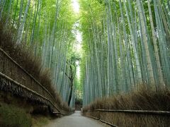 ふらり、初秋の京都へ【２】～初秋の嵯峨野を歩く～