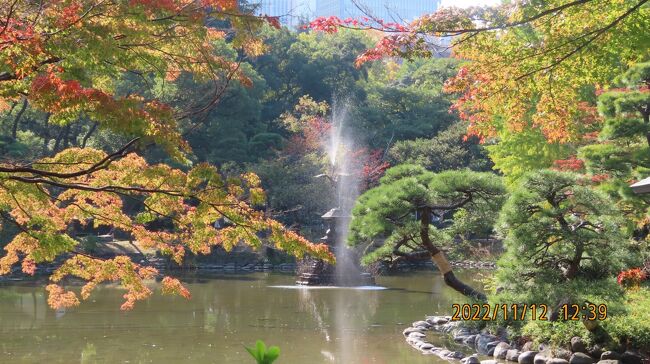 11月12日、午後0時20分過ぎに祝田門より日比谷公園に入ってから、松本楼まで来ました。　松本楼付近の首掛け銀杏は見事で見ごろでした。かなりの人を引き付けて記念撮影ポイントになっていました。石橋を過ぎて雲形の池に来ましたところ、紅葉には少し早いようでしたが、逆光線に映える紅葉と鶴の噴水とが一緒になった風景は相変わらず美しかったです。<br /><br /><br /><br />*写真は雲形の池の紅葉、