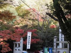 もみじ寺　寂光院の紅葉