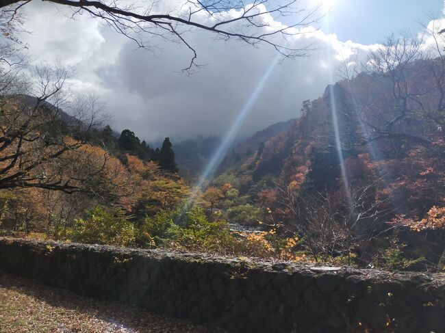 人生初の鳥取県上陸！関東者には沖縄より遠い場所なのです<br />2泊3日で鳥取から米子まで県内を横断しました。秋真っ盛りで期待以上に楽しかった～！<br /><br />＜費用＞<br />・AIRとHTLがセットのダイナミックパッケージ2泊3日　31,000円<br />・レンタカー　3日間　10,900円<br />・ガソリン代/入場料ほか雑費　8,000円くらい<br />・羽田前泊　6,000円<br /><br /><br />＜旅程＞<br />前泊<br />羽田空港近くで宿泊<br /><br />初日<br />鳥取砂丘コナン空港上陸！<br />鳥取砂丘・白兎神社・三徳山投入堂めぐり<br /><br />2日目<br />大山登山・鍵掛峠・境港で水木しげるロードを散歩<br /><br />3日目<br />米子鬼太郎空港から帰京！<br />満喫したぜ～い♪<br /><br />また行きたい！！　カニ＾カニ＾カニ　！！