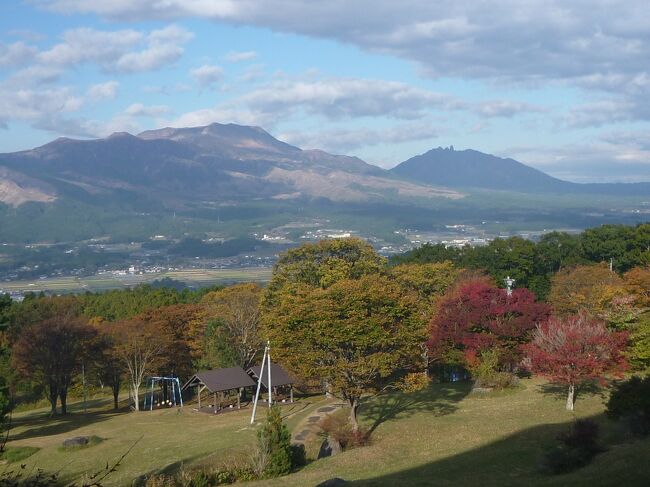 秋の祝日「文化の日」。<br />日帰りで「阿蘇山を眺めに行こう！！」ということになりました。<br />全国旅行支援も始まっていて、祝日は混雑も予想されましたが、天気も良かったので強行しました。<br />おすすめの観光情報が少ない旅行記ですが、立ち寄っていただければ幸いです。<br /><br />トップ画像は紅葉が始まった「阿蘇五岳」です。