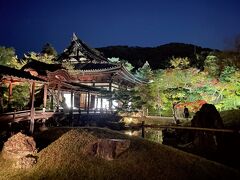 4トラ仲間と"薄紅葉の京都を愉しむ旅 2022"【2】夜の東山エリアをぶらぶら散策