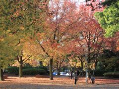 大仙公園の紅葉