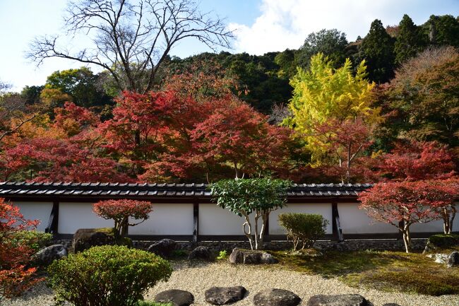 各地で紅葉真っ盛りの時期になりました。今年は近場の紅葉名所をどこも訪れていませんので奈良近辺に出かけることにしました。京都とは違い、本当に人出も少なくゆっくりと紅葉鑑賞をすることができ満足です。新しくできた道の駅を併設した、なら歴史芸術文化村も訪れましたが、とっても興味深く有意義な訪問になりました。