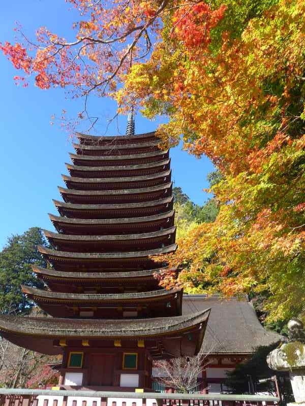 紅葉が見頃に ! 談山神社