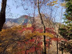 山梨・高畑山から倉岳山へ