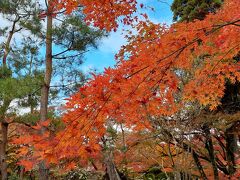 晩秋の京都ROKU