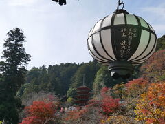 秋の長谷寺で満開の紅葉を楽しむ旅@少しだけ室生寺