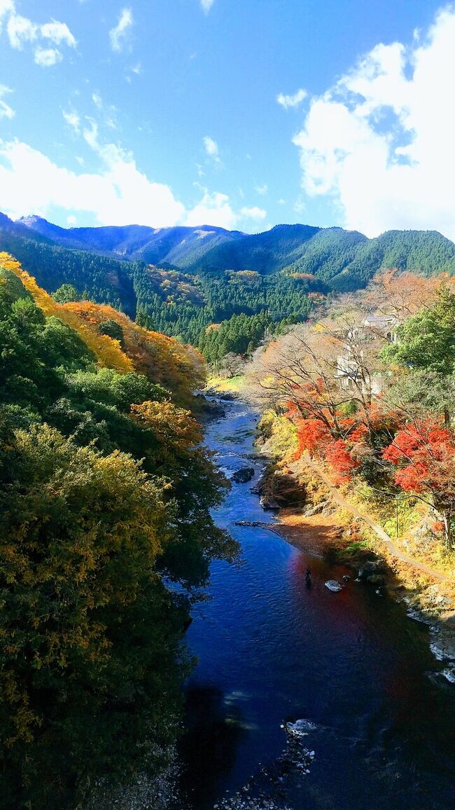 紅葉を見に、御岳山と御岳渓谷に出かけました。<br /><br />御岳山は紅葉シーズンはケーブルカーが非常に混雑するので、平日の早朝を狙って行きました。まずは、寒山寺駐車場に車を停め、そこからJR沢井駅まで歩き、沢井駅から御嶽駅まで電車で移動。御嶽駅からバスに乗って、御岳山ケーブルカーに乗り、御岳平から武蔵御嶽神社、綾広の滝、ロックガーデン、天狗岩、七代の滝、長尾平を廻るハイキングをしました。<br />その後、またケーブルカーやバスを使って御嶽駅まで戻り、そこから御岳渓谷の遊歩道を沢井駅の辺りまで歩き、車を停めていた寒山寺駐車場に戻りました。<br /><br />本日の歩行距離   10.9km、アップ  692m、ダウン  662m<br /><br /><br />