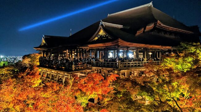 11月18日（金）。見頃を迎えた東山へ。高台寺の紅葉と清水寺ライトアップ初日。