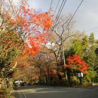 錦秋の九州横断　神社巡りとB級グルメ　１（大分・熊本編）