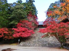 京都に紅葉を見に行こう！