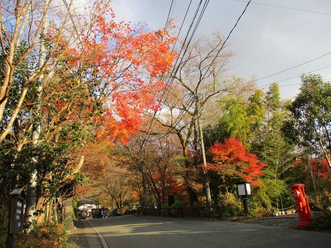 いつかは行きたいと思っていた黒川温泉、全国旅行支援は使えませんでしたが、やっと日程が合い宿の予約も取れました。当初JR九州の「ハロー！自由時間ネットパス」で行くことを考えていましたが、黒川温泉に列車で行くにはあまりに効率が悪く自宅のある広島から自家用車で行くことにしました。<br /><br />ついでに大分・熊本・福岡のうち列車では行きにくいところを回りつつ、各地のB級グルメも楽しめればと、いつものメニュー盛りだくさんの旅行となりました。一泊目の黒川温泉と対照的に二泊目は博多中洲のスタイリッシュなホテルにしましたが、いづれの宿でもゆっくり温泉やホテルライフを楽しむ事も無く、いつも通りバタバタと観光に出かけて疲れて帰るというパターンです。<br /><br />一日目は山口県周南市の徳山港でクルマをフェリーに乗せ、大分県の竹田津港にて九州上陸。それから豊後高田を通って宇佐ICから東九州自動車道に入り、大分自動車道・九重ICで降りて熊本県黒川温泉で宿泊しました。<br />二日目は黒川温泉から菊池を経て山鹿市で昼食、その後九州自動車道・大分自動車道で朝倉市・秋月を観光してから、大宰府ICから福岡都市高速に入って福岡市のホテルに向かいました。<br />三日目はホテルを出て天神北ICから都市高速を通って福津市、宗像市で観光して、帰りは若宮ICから九州自動車道に入り山陽自動車道で広島までというルートです。<br /><br />全行程走行距離約900キロメートル、各地で紅葉が進み美しい景色を見ることができ、九重高原などでは山一面のススキが輝いていました。宇佐神宮、秋月城下町、宮地嶽神社、宗像大社などを巡る中で美味しいグルメにも出会え、有意義な旅となりました。<br /><br />大分・熊本編と福岡編の二部構成でお楽しみください。<br />