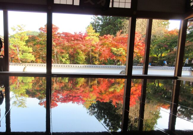 紅葉と温泉を楽しもうと埼玉と群馬の周遊旅。<br />床もみじで有名な宝徳寺、晩秋の四万温泉、2019年オープンのテーマパークムーミンバレーパークで、それぞれの紅葉の美しさを楽しんできました。<br /><br />ふるさと納税の感謝券もあったので、四万温泉はちょっといいお宿に宿泊。<br /><br />Part1は群馬県桐生周辺を観光して、宝徳寺の床もみじを鑑賞。<br /><br />