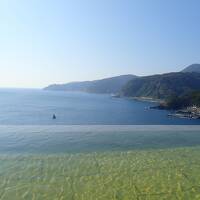 赤沢・熱川　絶景温泉と動物とふれあう2泊３日の旅