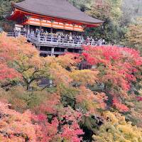 秋の京都へ ⑤　清水寺から祇園を抜けて錦市場へ