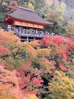秋の京都へ ⑤　清水寺から祇園を抜けて錦市場へ