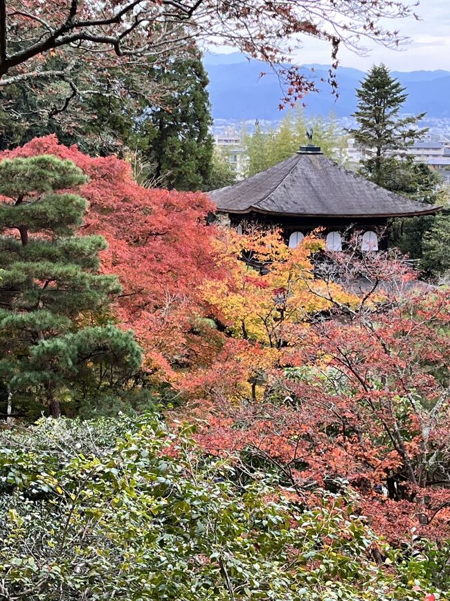 紅葉を見に行きながら<br />京都暮らしの子供にお届け物をしに行く旅