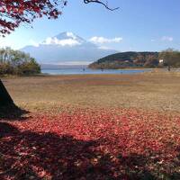 雨宿りしかできなかった山中湖にリベンジ