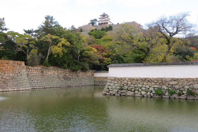 3泊4日の旅行社のツアーで、四国の100名城(9城)を回ってきました。<br /><br />初日は、羽田から高松に飛び、高松市内の高松城から名城めぐりをスタートです。<br />高松城見学の後は、丸亀城を専門ガイド付きで見学しました。<br />初日の見学を終えた後は、徳島に向かい、徳島秋前のホテルに宿泊です。<br />2日目は、午前中に徳島城址公園を見学した後、高松市内に戻り昼食をとった後、高知に向かいました。<br />高知市内到着後は、またまた専門ガイドの案内で高知城を見学した後、四万十市に向かい、市内のホテルに宿泊となりました。<br /><br />ツアー3日目は、朝ホテルを出て四万十川の沈下橋を見学した後、愛媛県の宇和島に向かい宇和島城を専門ガイド付きで見学したあと、昼食をとり、大洲に向かい大洲城を見学しました。<br />大洲城見学の後は、松山市に向かい、道後公園・湯築城址、道後温泉を見学した後、奥道後温泉に向かい、ここで宿泊となりました。<br />ツアー最終日は、今治城を午前中に見学した後、松山に戻り最後の100名城として松山城を専門ガイド付きで見学して、松山空港から帰路につきました。<br /><br />https://4travel.jp/travelogue/11793070<br /><br />
