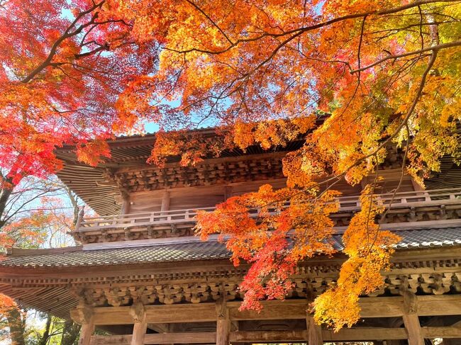 紅葉時期に永源寺観光