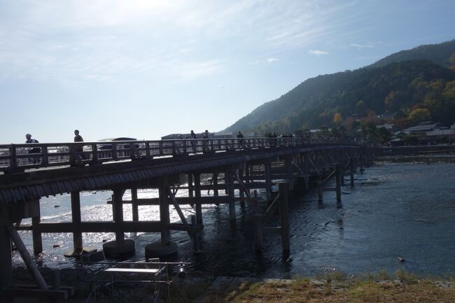 去年乗ろうとしていた嵯峨野トロッコのライトアップ。今回グレードアップしたのを見に行って来ました。日曜日には嵯峨嵐山の寺社巡り（ほとんど門のみですが）を開催し、嵐山を思う存分楽しみました。