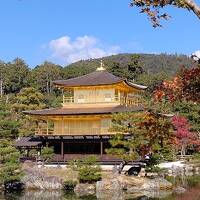 忙しい日常から抜け出して見頃の紅葉を愛でる京都旅