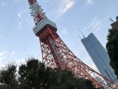 神宮外苑:野球大会観戦と日展鑑賞、東京タワーの最上部を行く　スポーツと芸術・観光楽しむ