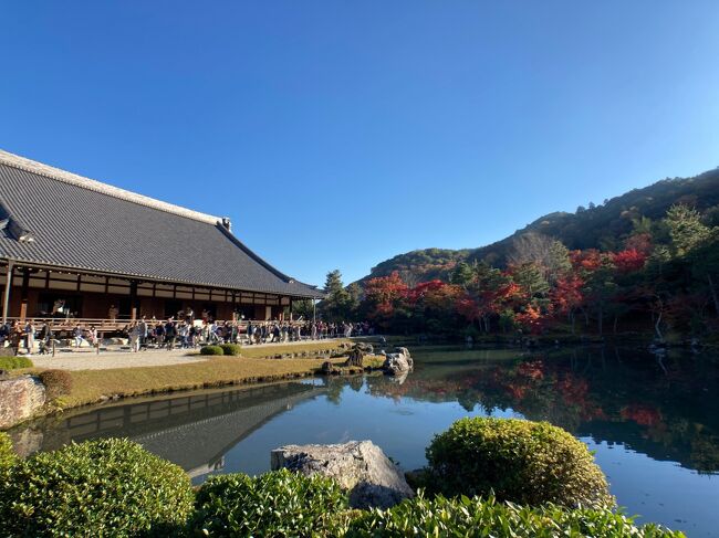 「そうだ、京都行こう！」と急に思い立った。<br />全国旅行支援制度は行こうと思った時には京都が終わっていて使えなかったけど、やっぱり京都に行きたいと色々と割引を使ってホテルと新幹線を予約。<br />4回目の京都旅行は念願の秋の紅葉時期。<br />仕事終わりに出発し、2日目と3日目を十分に使って嵐山と京都の紅葉を満喫。<br />