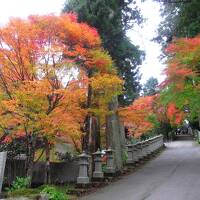 四国八十八ヶ所巡り・その6（紅葉の雲辺寺をゆく）