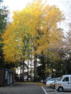 柏市の花野井・旧吉田家住宅歴史公園・紅葉・2022年11月