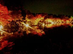 紅葉の昭和記念公園  Day  &  Night