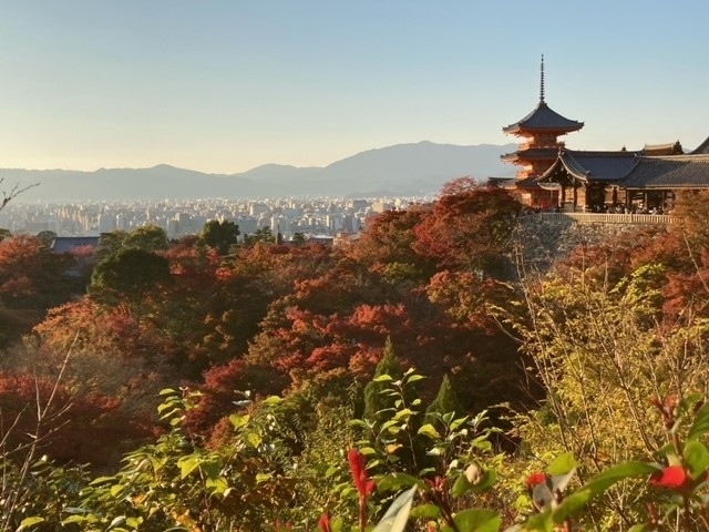 　京都は４年ぶりだ。観光では51年前の修学旅行以来だ。僕の住んでいる新潟県は越後だから京都からは越えたのちの地だ。<br />　そんな田舎者が京都で多くの寺社仏閣を見ても、違いを確認できず、歴史も不勉強で消化不良ぎみだった。もう少し勉強してから再挑戦したいと思う。<br />　それにしても貧乏者の京都旅行はよく歩いた。アップルウォッチで見ると一日に25,000～27,000歩、14～16㎞だった。