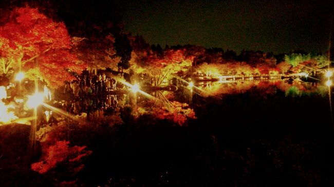 国立昭和記念公園でイチョウ並木と日本庭園のライトアップをするというので、行ってみました。<br /><br />イチョウ並木のライトアップは、普通の入園料で見ることができますが、日本庭園のライトアップは、別途入園料がかかります。日本庭園ライトアップチケットはオンラインで事前申し込みすれば、1000円で購入できます。当日購入は1200円。この日は事前申し込みチケットの売れ行きが良かったのか、当日券の販売が中止になっていたので、事前購入がおすすめです。(前日までのキャンセルならキャンセル料はかからないようですし)<br /><br />日本庭園のライトアップは16:30からなのですが、せっかく行くのならば昼間の公園も見てみたいということで、お昼過ぎに出かけてみました。昼、夜両方の公園をしっかりと堪能しました。<br /><br />本日の歩行距離 13km