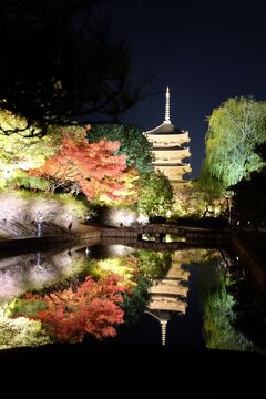 綺麗すぎでしょ東寺のライトアップ行って良かった！福井小浜と京都天橋立伊根・京都市内の紅葉巡りひとり旅４泊５日⑤3日目午後2022.11.17