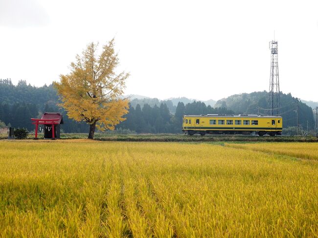 いすみ鉄道、小湊鉄道の秋の風景を巡ってきました。