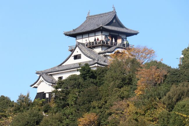 約20年ぶりに犬山界隈に出かけてみました<br />紅葉の季節、月曜日なのに多くの人出がありました<br />犬山は以前は本当に寂しい感じの町でしたが、すっかり様変わりしていました<br />城下町には以前はなかった多くの飲食店やお店が立ち並び、観光客を呼べる町になっていました<br />今回は自宅から車ででかけました