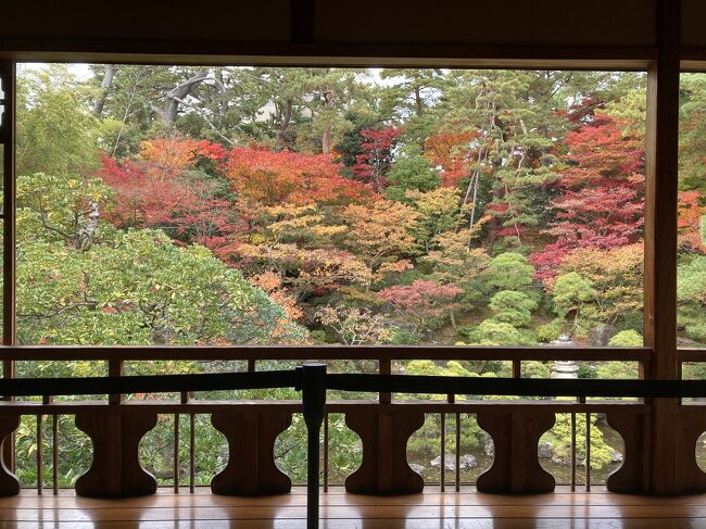 日本酒とお米がおいしい新潟。とくに見どころは期待していなかったが、紅葉まっさかりの庭園に圧倒されました。1日目はレンタサイクルで半日走り回り、2日目はローカル線で秋葉温泉へ。見たいものを見て、食べたいものを食べる。旅の醍醐味を味あわせてくれた新潟が大好きになりました。
