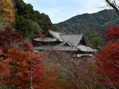 紅葉が見頃の長谷寺