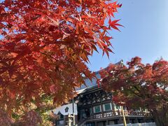 紅葉の京都　東福寺・勝林寺・清水寺など。ハイアットリージェンシー京都泊。