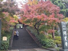 秋の鎌倉一人旅　①日目