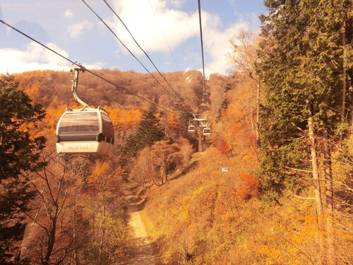 栃木 マウントジーンズ那須 Mt.JEANS NASU リフト１日券 ご招待券 ペア 2018-2019 ネコポス(216円)発送可 ※1入札で2枚の価格です