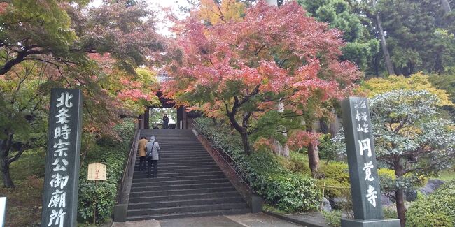 今年の大河ドラマの舞台である鎌倉に一人旅に行ってきました。大河ドラマ「鎌倉殿の十三人」もいよいよ最終回間近となり、北条家ゆかりの地をめぐってきました。初めての鎌倉、行きたい場所がたくさんあって、2日間かけて秋の紅葉を楽しみながら鎌倉を満喫してきました。