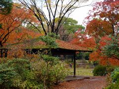 昭和記念公園の秋　2022