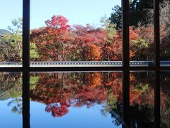 全国旅行支援バスツアー　わたらせ渓谷トロッコと宝徳寺床もみじ