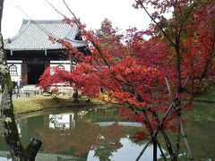 紅葉の秋～京都でゆったり観光～