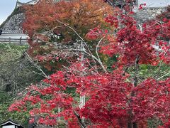 秋のドライブ（丹波篠山・福知山編）